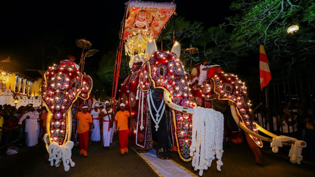 Best Time to Visit Sri Lanka: Weather, Festivals & Travel Seasons