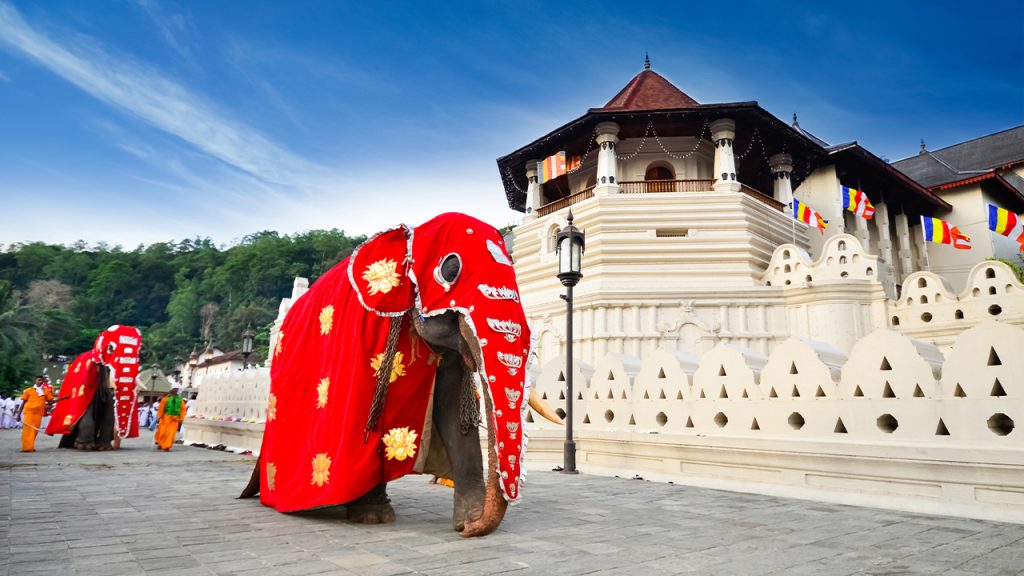 Kandy_image_10