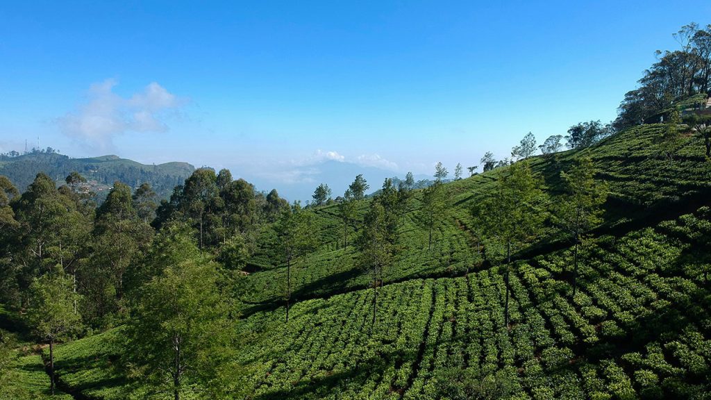 Heritage,-Hills-&-Coastline-Adventure-7-days